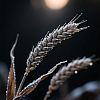 СБТ ТЕТРА КОРОТКАЯ